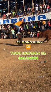 El Mono Runy De Frente Con El Toro insignia😱 El Saltarín🐂Una vista en las corralejas 🫡Anime Corralejas 2.0🐂@fans destacados🫡 | Una vista en las corralejas