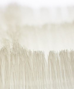 3D-Printed Hair Is a Thing and It Could Change the Beauty Industry – Lifeboat News: The Blog