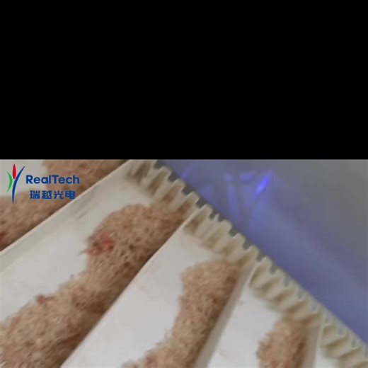 Dry Shrimp Dry Seafood Color Sorter Belt Type Optical Shrimp Sorting Machine Color Sorter Price