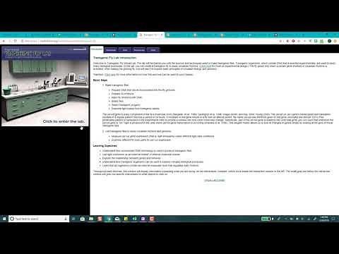 Transgenic Fly Lab HINTS