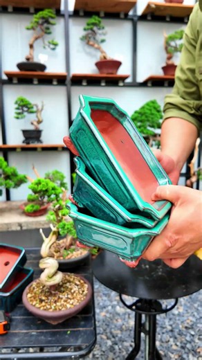 Beveled Rectangular Bonsai Pots