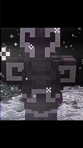 The Director Of Unstable SMP...