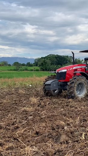 Los 135hp del MF 6713 en Saldaña, Tolima. ¡Contáctanos por tu nuevo Massey! #simotor #masseyferguson #massey #mf6713 | Simotor Massey Ferguson
