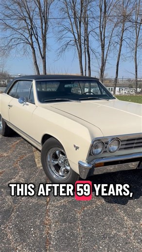 1967 Chevelle survivor! #chevrolet #chevelle #classic #survivor #old #oldschool #summer