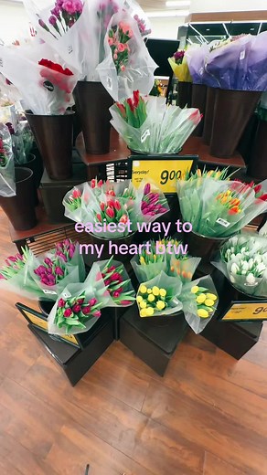 The Beauty of Tulips in Spring