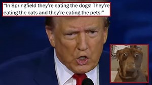 They're Eating the Dogs | Know Your Meme