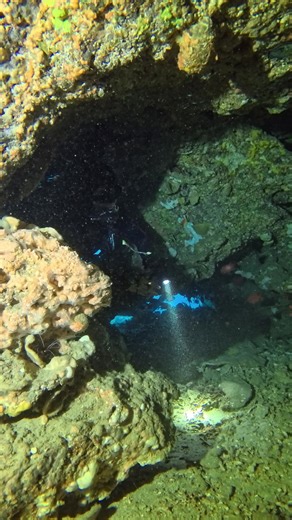 FIRST TIME INTRO TO CAVE DIVING 😎 VERY AMAZINGGGG🤙🤙🤙 #sidemountdiver #sidemount #sidemountcavediving #javasidemountsystem