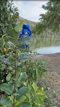 ‪@Artofjessicalowe‬ is an IDOL for creating this one-of-a-kind Derpy costume🌟 KPop Demon Hunters