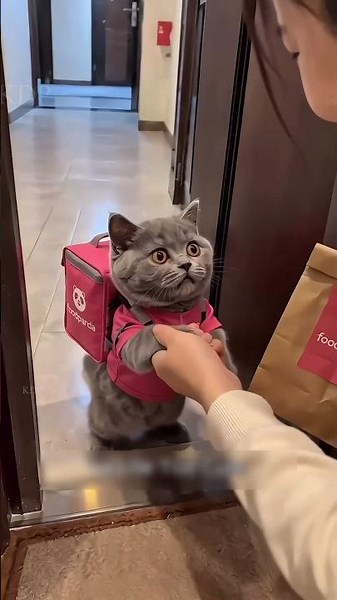 billu aaay dilvery karne per suke saath ho gya