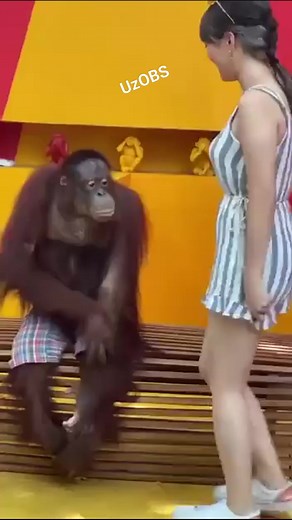 395K views · 2.2K reactions | UZOBS on Reels | Facebook