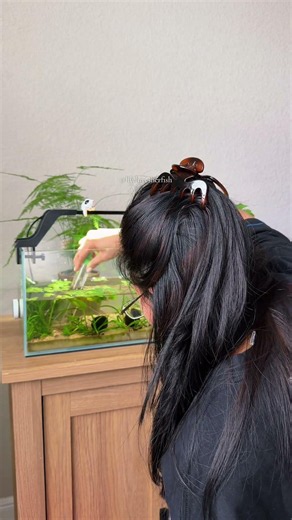 Cleaning my betta fish tank! #waterchangeday #fishtankmaintenance #fishtank #bettafish #aquarium