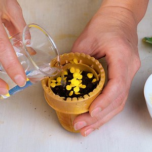 Become a Plant Guru With These Simple Tips! | 5-Minute Crafts Men