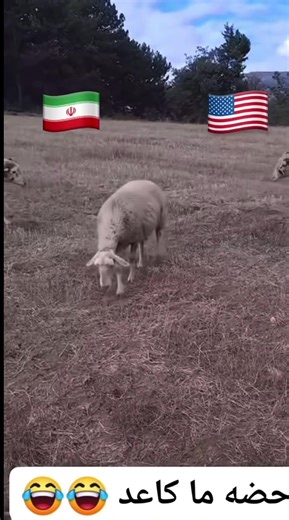 ‏#بغداد #عراق #ايران #usa #zaxo