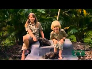 Bindi Irwin's Australia Zoo Animal Tour