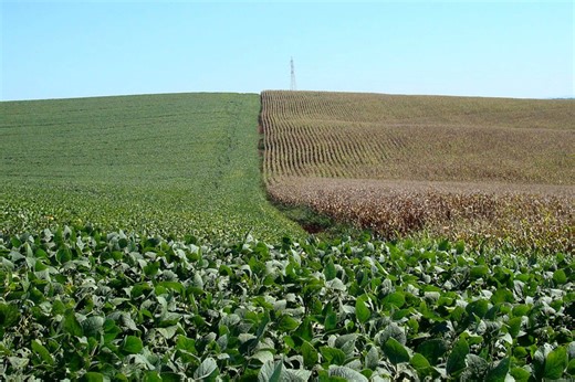 Sanções à BPC elevam preço de potássio e põem em risco avanço da soja no Brasil em 22/23