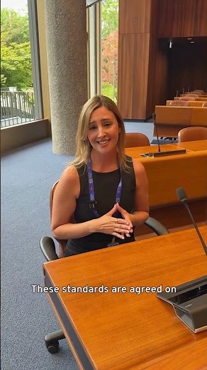 International Labour Standards - What are they?