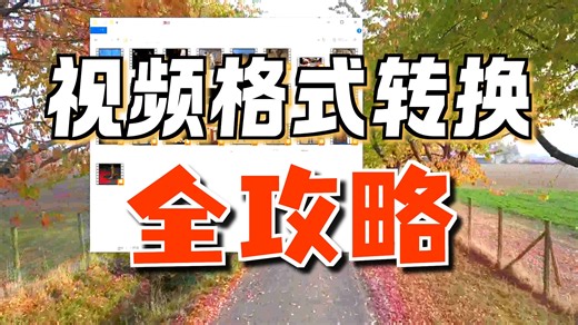 视频格式乱？这款免费工具把 DATRM 都变成 MP4