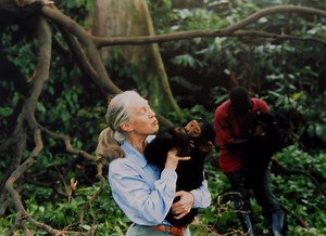Jane Goodall Had No College Degree. She Still Changed Everything We Know About Chimpanzees.