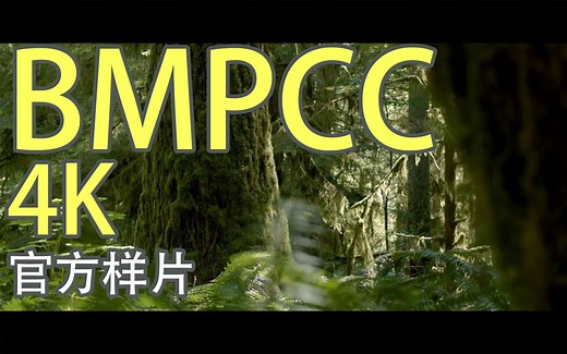 【官方样片】BMPCC 4K -nature-