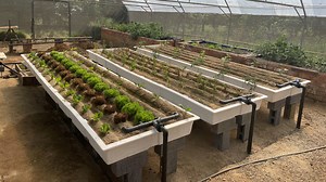 SANDPONICS IS AQUAPONICS ON STEROIDS - HOW TO BUILD YOUR OWN SANDPONICS OR SANDGARDEN SYSTEM