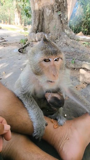 How to lure Gracie stop cry | Hand Products