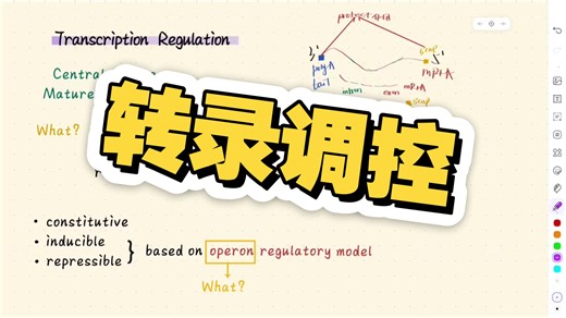 【全英】高中生首次录课 转录调控概述以及乳糖操纵子