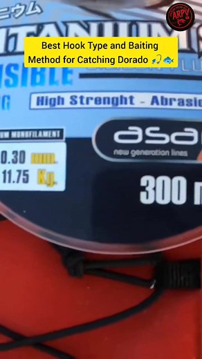 Best Hook Type and Baiting Method for Catching Dorado 🎣🐟 Part 4 | Anouar peche vlog