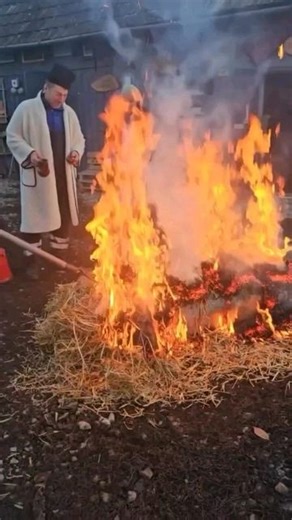 Prodan Ovidiu Cristian on Instagram: "Romanian food #romaniafood #romaniahiddengems #romania #romaniamagica"