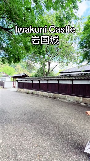 Iwakuni Castle (岩国城) in Yamaguchi Prefecture.