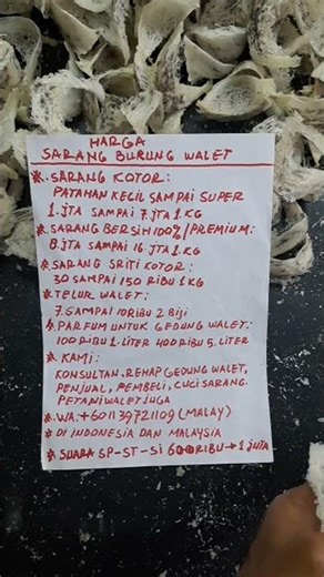 Sorotan siaran langsung