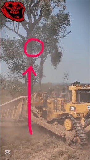 D11T Bulldozer Tree Pushing Power['✓]'Heavy Dozer Action shorts