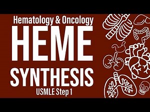Heme Synthesis (Heme/Onc) - USMLE Step 1