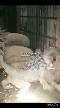 Yuffie InterMission Gameplay Highlights - Final Fantasy 7 Remake Intergrade on Steam Deck #ff7remake