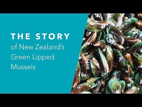 The Story of New Zealand Green Lipped Mussels