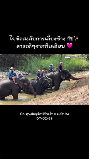 สาระช้างดีๆจากพี่ๆทีมเสียบวันนี้~ 🫶🏼✨🩷 #ศูนย์อนุรักษ์ช้างลําปาง