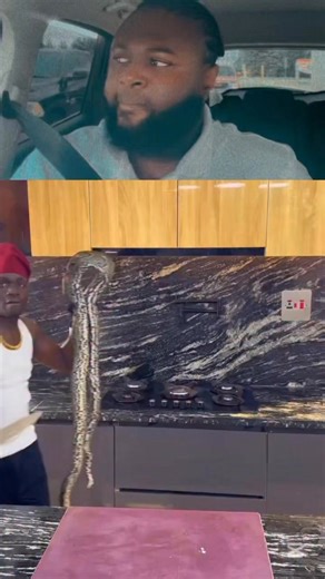 Alan Cash on Instagram: "Python Pepper Soup 🍲"