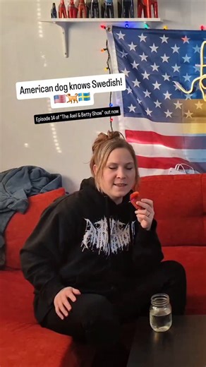 Axel & Betty on Instagram: "Episode fourteen (or fjorton as they say in Sweden) of our podcast "The Axel & Betty Show" is officially out! 🇺🇲🇸🇪😘 In this weeks episode we, among many other things, learn that our dog knows Swedish almost as good as Betty! 🐕😘 #svenskhumor #swedish #bordercollie #learnswedish #swedishlanguage"
