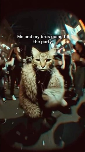 The party is waiting for us😎#catmemes #party #friends #funny #dance #shorts #kitten #funnycats