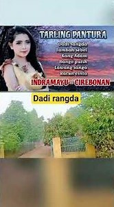 tarling Pantura Cirebonan " dadi rangda" #tarlingviral #tarlingpantura #tarlingcirebonan