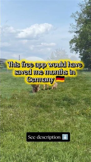 The app every expat should know ⬇️ #expatlife #abroadinformation #germany #career
