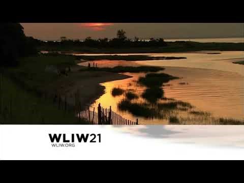 WLIW Station ID 2021 #2