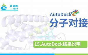 e嘉医 | AutoDock 分子对接：【15】AutoDock结果说明