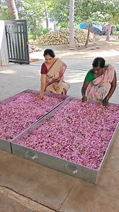 24K views · 6.1K reactions | Farm Fresh Natural Face pack- 100%...