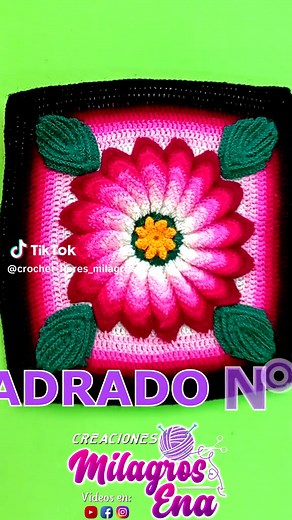 Teje el Cuadrado de Colores N° 14 a Crochet