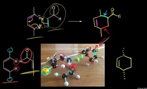 Diels-Alder: endo rule