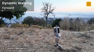 Berkeley Humanoid is a reliable and low-cost middle-sized humanoid research platform for learning-based control. The lightweight, in-house-built robot is designed specifically for learning algorithms with low simulation complexity, anthropomorphic motion, and high reliability against falls. Video Credit: Hybrid Robotics #robotics #robots #engineering #technology | Wevolver.com