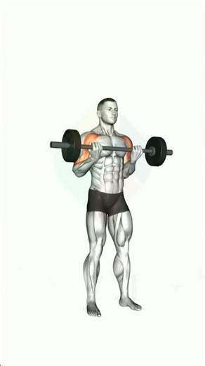 Best workout Biceps | Biceps Exercises #gym 3D animation
