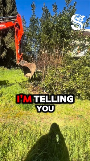 121 reactions | ‼️ HOW WE PREP THE GROUND ‍♂️ Step 1: Clear the growth.  Step 2: Lay the stabilized base. 直 Step 3: Level it flat.  Here’s why we need a hard surface for the construction site. Listen to the process! ️ . . #constructiontips #civilworks #excavatoroperator #sitepreparation #constructionsite #engineering #earthmoving #dailywork #learnontiktok #asmr #excavator | Smaltitaly | Facebook