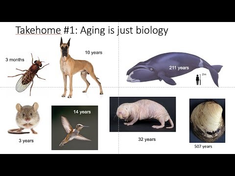 Introduction to the biology of aging