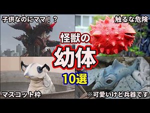 【ゆっくり解説】最強に可愛い！ガチで癒やされる怪獣の幼体を徹底解説！ part1【ULTRAMAN SERIES】【10選】